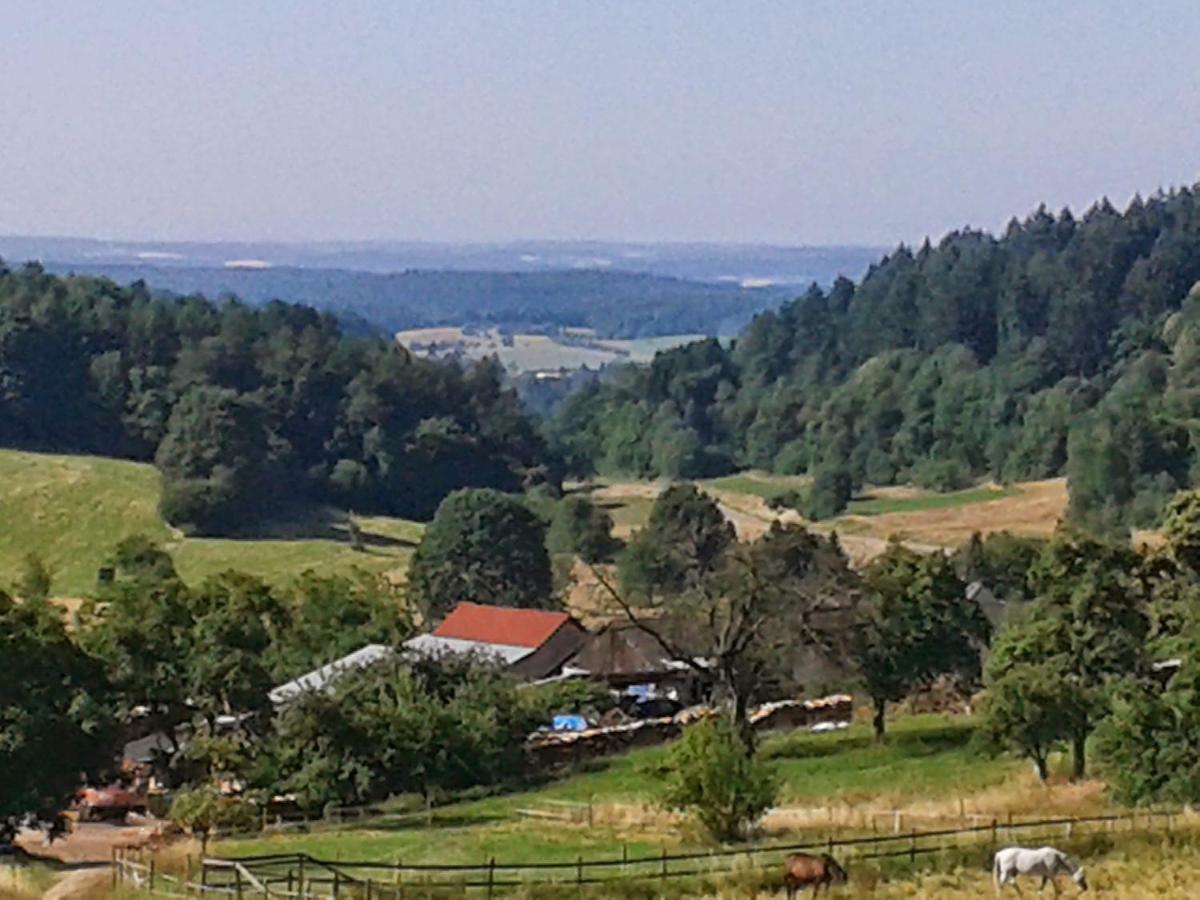 Fewo Darsberg Neckarsteinach Extérieur photo