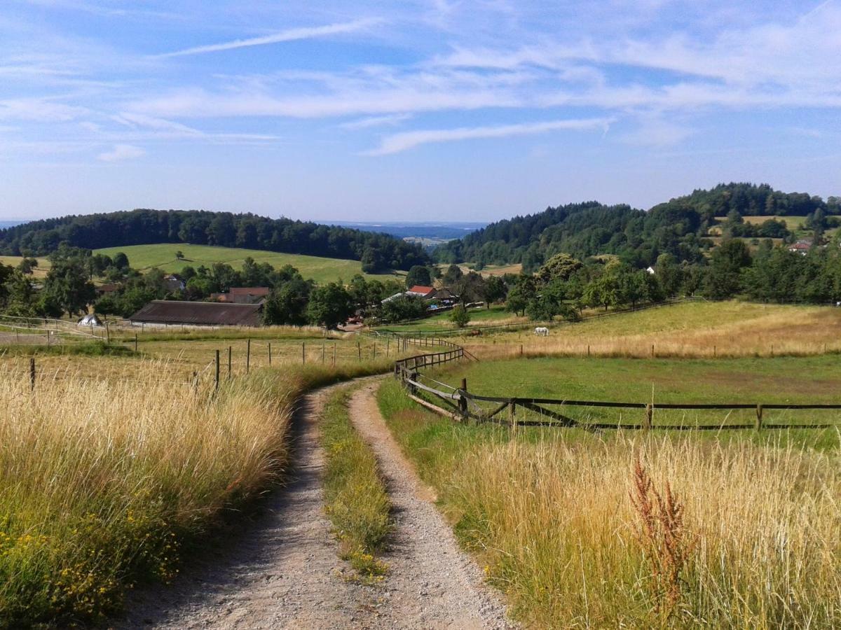 Fewo Darsberg Neckarsteinach Extérieur photo