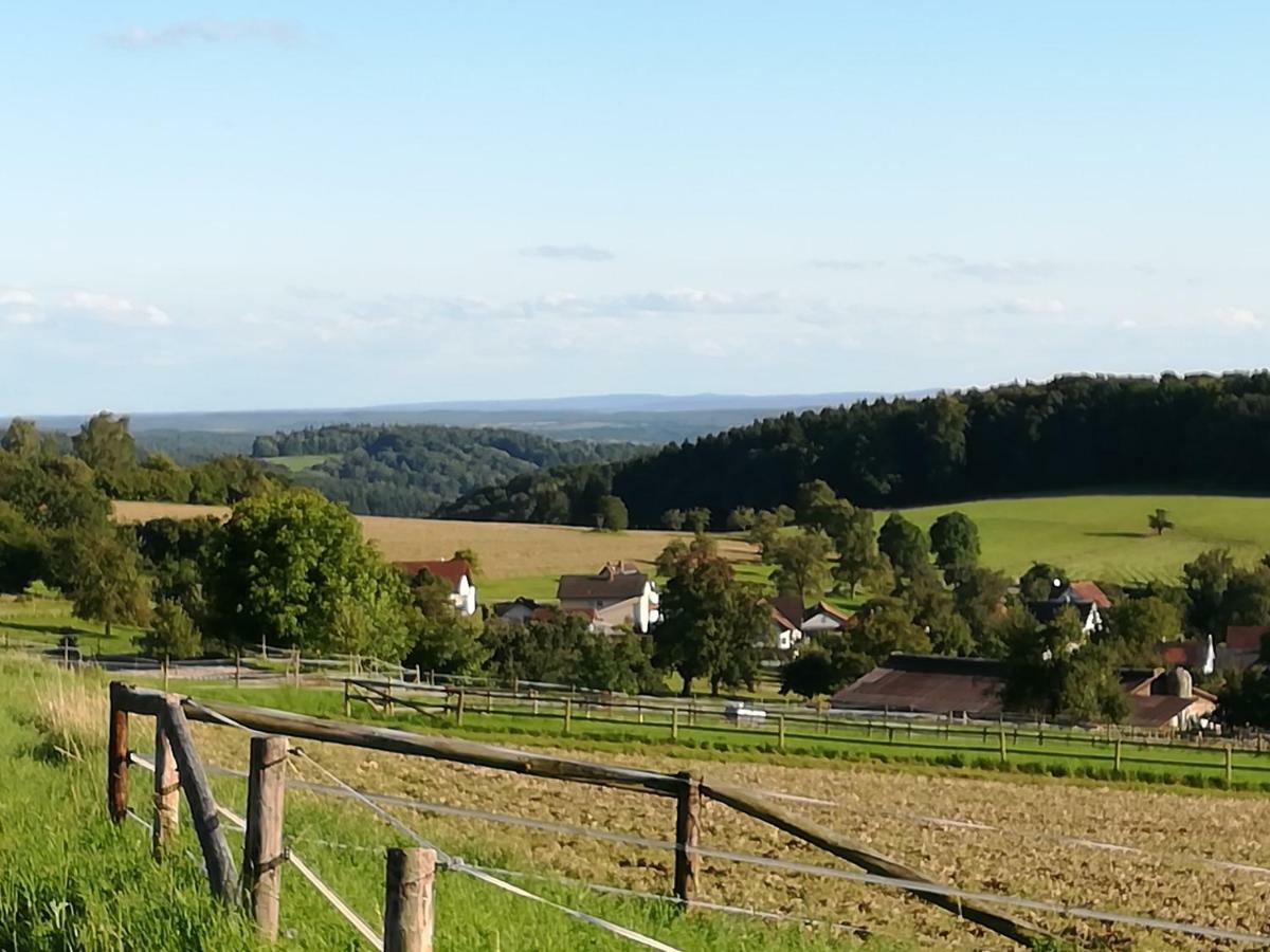Fewo Darsberg Neckarsteinach Extérieur photo