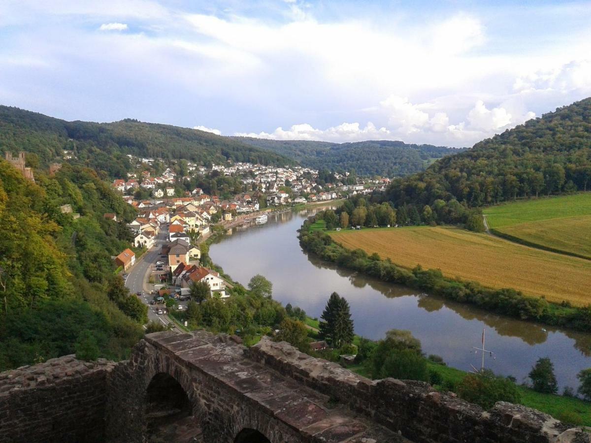 Fewo Darsberg Neckarsteinach Extérieur photo