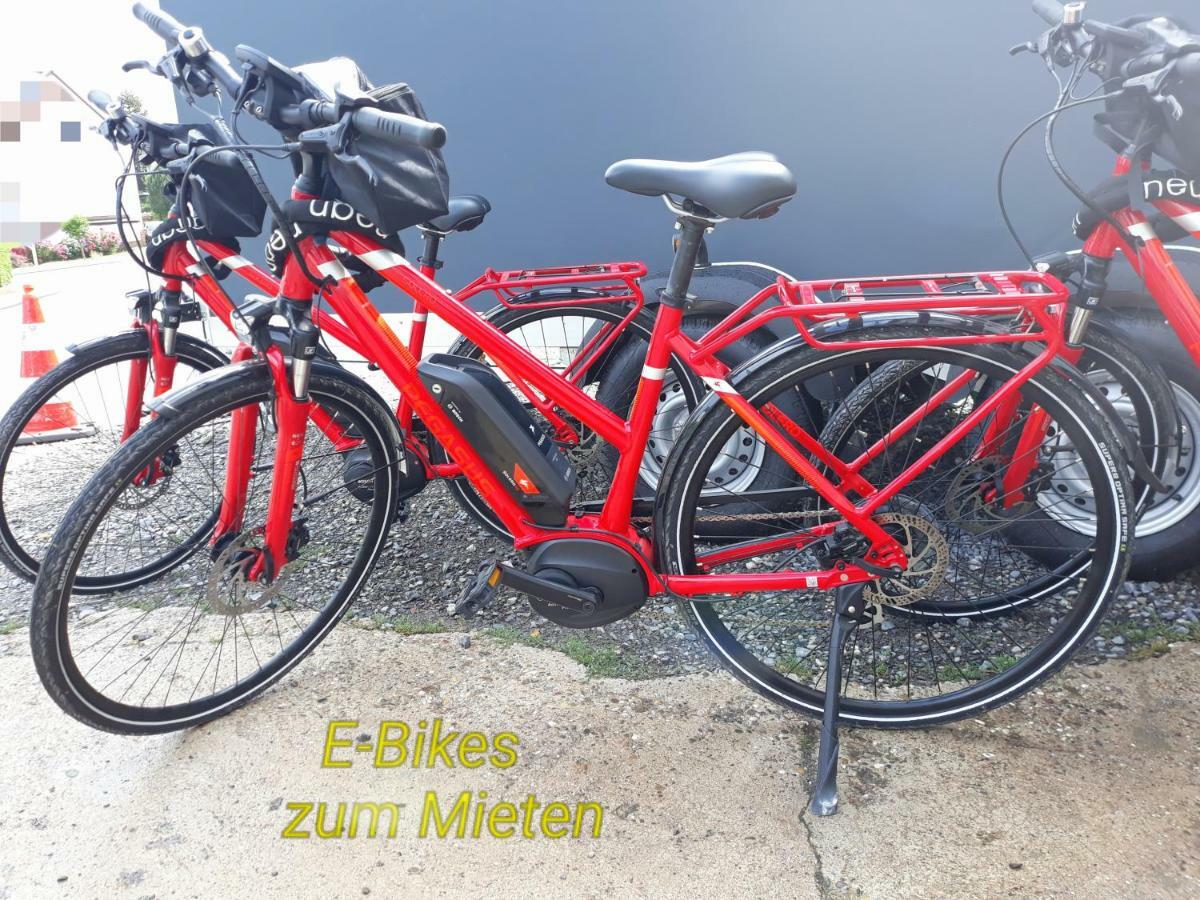 Fewo Darsberg Neckarsteinach Extérieur photo